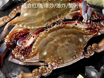 舟山液氮活冻梭子蟹4-6两/只公蟹飞蟹鲜活冷冻梭子蟹批发厂家直销图3