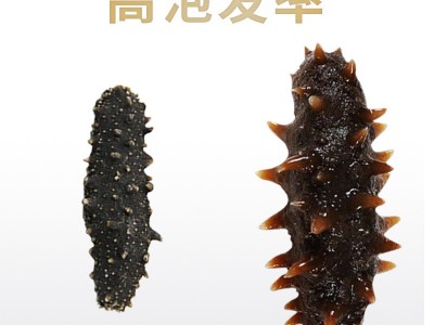 工厂直供大连淡干海参干货辽参刺参干参厂家直供海参干货批发代发图4