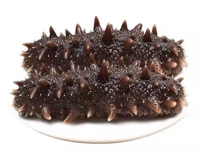 工厂批发代发大连海参顺丰包邮即食礼盒装鲜即食深海辽参刺参 500g图5
