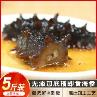 工厂批发代发大连海参顺丰包邮即食礼盒装鲜即食深海辽参刺参 500g