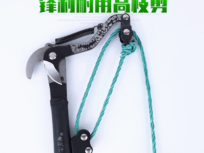 货源供应高枝剪精品 小号 高空修枝剪修枝锯 果枝剪伸缩整枝剪图2