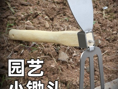 园艺工具锄草小锄头全钢种花种菜家用小花锄多功能户外挖土洋镐锄图2