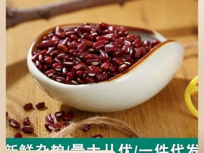 赤小豆新货五谷杂粮红豆长粒红小豆赤豆和薏米更配图3