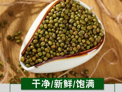 绿豆5斤包邮新鲜农家小绿豆可发芽绿豆糕汤绿豆粥原料散装杂粮图1