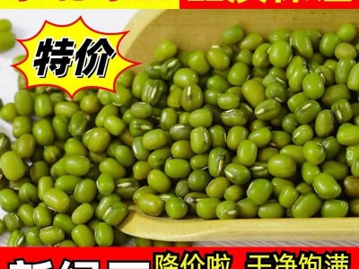 新绿豆50斤 坝上农家自种小明绿豆汤绿豆沙发豆芽新鲜绿豆批发图2