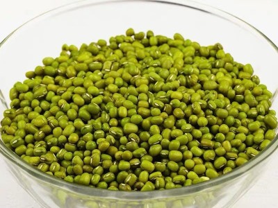 新绿豆50斤 坝上农家自种小明绿豆汤绿豆沙发豆芽新鲜绿豆批发图4