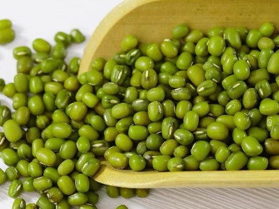 新绿豆50斤 坝上农家自种小明绿豆汤绿豆沙发豆芽新鲜绿豆批发图3