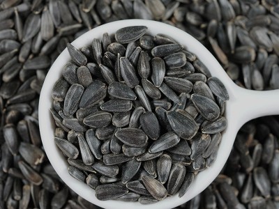 新黑瓜子油葵籽批发黑珍珠小瓜子葵花籽鸟食仓鼠粮食鸟粮鸽粮图2