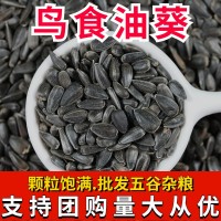 新黑瓜子油葵籽批发黑珍珠小瓜子葵花籽鸟食仓鼠粮食鸟粮鸽粮