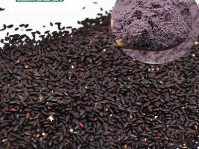 现货供应五谷杂粮粉膨化黑米粉冲泡代餐粉散装批发熟黑米粉图2