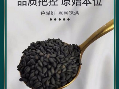 厂家黑芝麻炒熟黑芝麻五谷磨粉原料芝麻粉图4