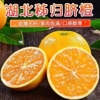 秭归高山夏橙脐橙新鲜橙酸甜橙手剥橙水果产地直发应季橙子批发