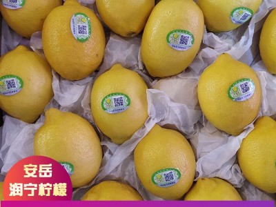 润宁当季新鲜出口孕妇水果多汁尤力克四川安岳黄柠檬一件代发批发图3