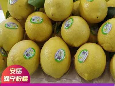 润宁当季新鲜出口孕妇水果多汁尤力克四川安岳黄柠檬一件代发批发图2