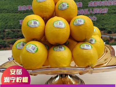 润宁当季新鲜出口孕妇水果多汁尤力克四川安岳黄柠檬一件代发批发图4