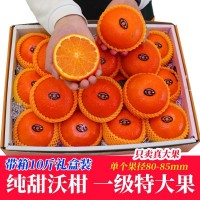 沃柑新鲜广西武鸣一级纯甜特级大果现摘橘子10斤礼盒当季水果桔子