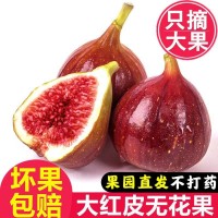 无花果新鲜红皮大果应季甜糯孕妇水果5/3斤当季青皮整箱批发跨境