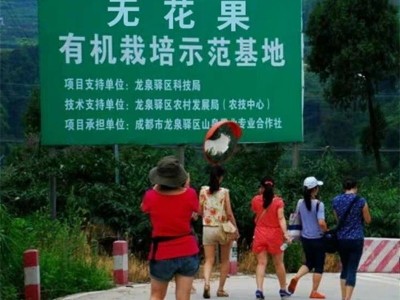 无花果新鲜红皮大果应季甜糯孕妇水果5/3斤当季青皮整箱批发跨境图3