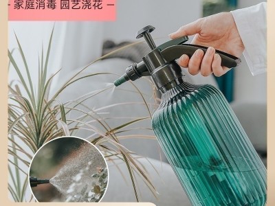 气压式喷雾器酒精消毒压力壶园艺家用喷水壶园林盆栽浇花专 用喷壶图2