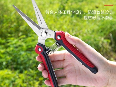 摘果剪强力修枝剪子园林稀果摘果剪葡萄修枝专用剪刀蔬果采摘剪子图4