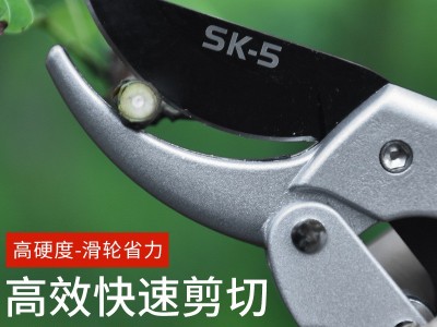 修枝剪花剪园艺剪刀花艺修剪树枝剪刀果树剪花枝剪子修花园林工具图2