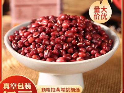 新鲜红豆易煮易烂大颗粒农家 自产五谷杂粮新豆子批发图6