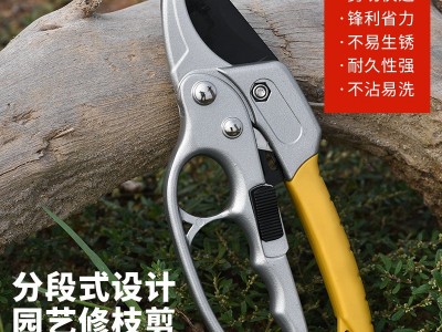 省力果树修枝剪刀分段式专业园艺修剪树枝园林修花枝剪粗枝剪子图3