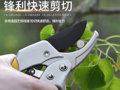 省力果树修枝剪刀分段式专业园艺修剪树枝园林修花枝剪粗枝剪子图4