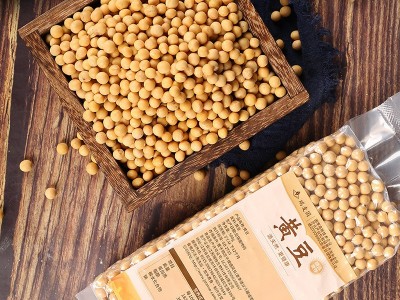 黄豆厂家批发 五谷杂粮大豆磨粉豆浆原料 黄豆400克真空包装图3