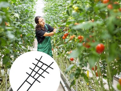 植物支撑架塑料爬藤花架子大小号塑料藤蔓攀爬架园林网格固定花架图3