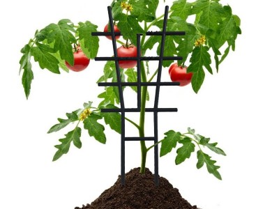植物支撑架塑料爬藤花架子大小号塑料藤蔓攀爬架园林网格固定花架图2