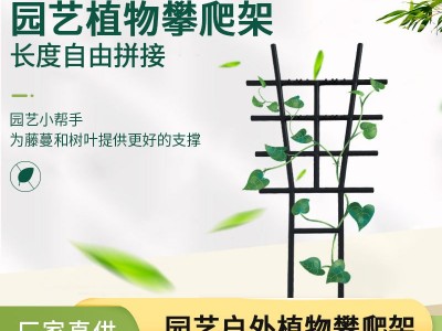 植物支撑架塑料爬藤花架子大小号塑料藤蔓攀爬架园林网格固定花架图1