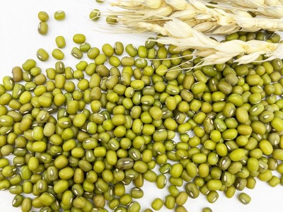 豆芽专用绿豆大颗粒绿豆芽豆鹦哥绿豆出口级品质绿豆原粮五谷杂粮图4