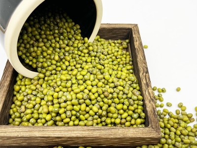 豆芽专用绿豆大颗粒绿豆芽豆鹦哥绿豆出口级品质绿豆原粮五谷杂粮图3