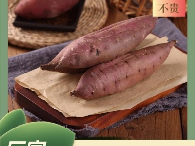 高质量天然炭烤缸薯 沙地番薯口感新鲜 薯匠 长期供应图2