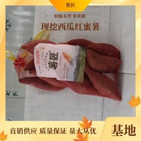 薯匠 供应鲜美香甜营养红心红薯甘薯地瓜 糖化口感好