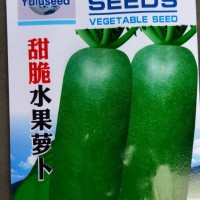 蔬菜种子批发 甜脆水果萝卜 根肉浅绿色 品质优 晚秋 7克