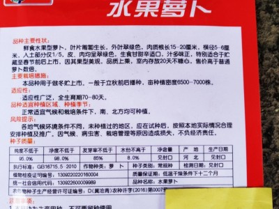 蔬菜种子批发 甜脆水果萝卜 根肉浅绿色 品质优 晚秋 7克图3