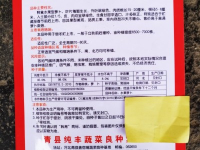 蔬菜种子批发 甜脆水果萝卜 根肉浅绿色 品质优 晚秋 7克图5