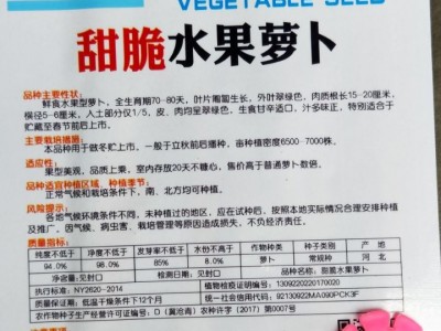 蔬菜种子批发 甜脆水果萝卜 根肉浅绿色 品质优 晚秋 7克图2