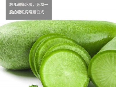 冰糖脆萝卜种籽大全水果白红皮樱桃萝卜蔬菜种孑种子四季阳台种植图2
