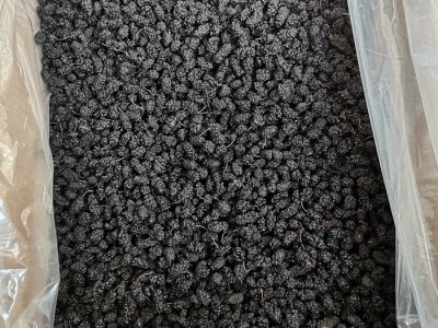 河北桑葚干整箱批发干桑葚水洗无沙散装箱装大货供应量大价优图2