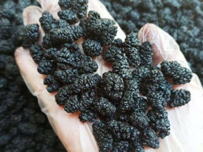 河北桑葚干整箱批发干桑葚水洗无沙散装箱装大货供应量大价优图3