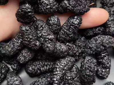 河北桑葚干整箱批发干桑葚水洗无沙散装箱装大货供应量大价优图4