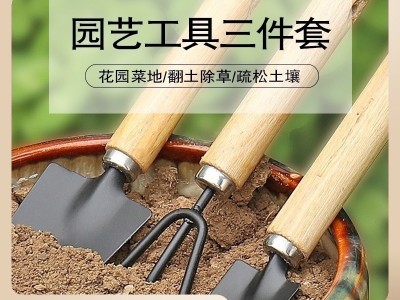 园艺大三件套盆栽小铲子花园小铁铲室内花卉盆栽松土种花种菜工具图3