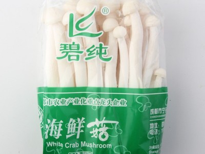 新鲜海鲜菇白玉菇食用菌菇类煲汤新鲜蔬菜蘑菇制品饭店批发实惠图3