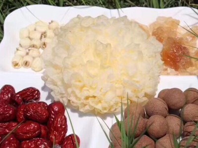 现摘新鲜银耳1棒3朵鲜白木耳雪耳木耳鲜活银耳图2