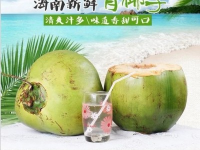 海南带皮椰青新鲜椰子大椰青孕妇水果补羊水厂家现摘现发免邮椰肉图2