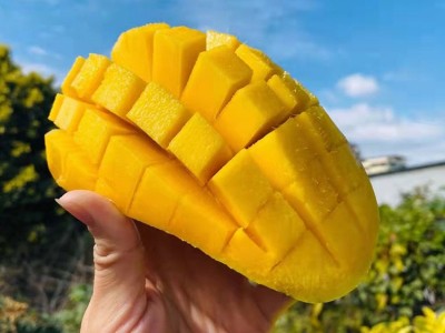 海南金煌芒果10斤水仙芒甜心芒青芒整箱大果当季新鲜水果非台芒图3