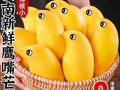 【一件代发】云南鹰嘴芒新鲜水果整箱芒果10斤当季水仙金煌大青皮图3
